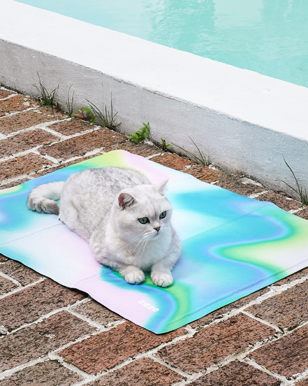 Aurora Cooling Pet Mat - Pawscode