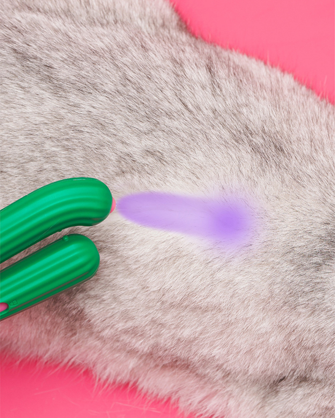 Cactus LED Nail Clipper - Pawscode
