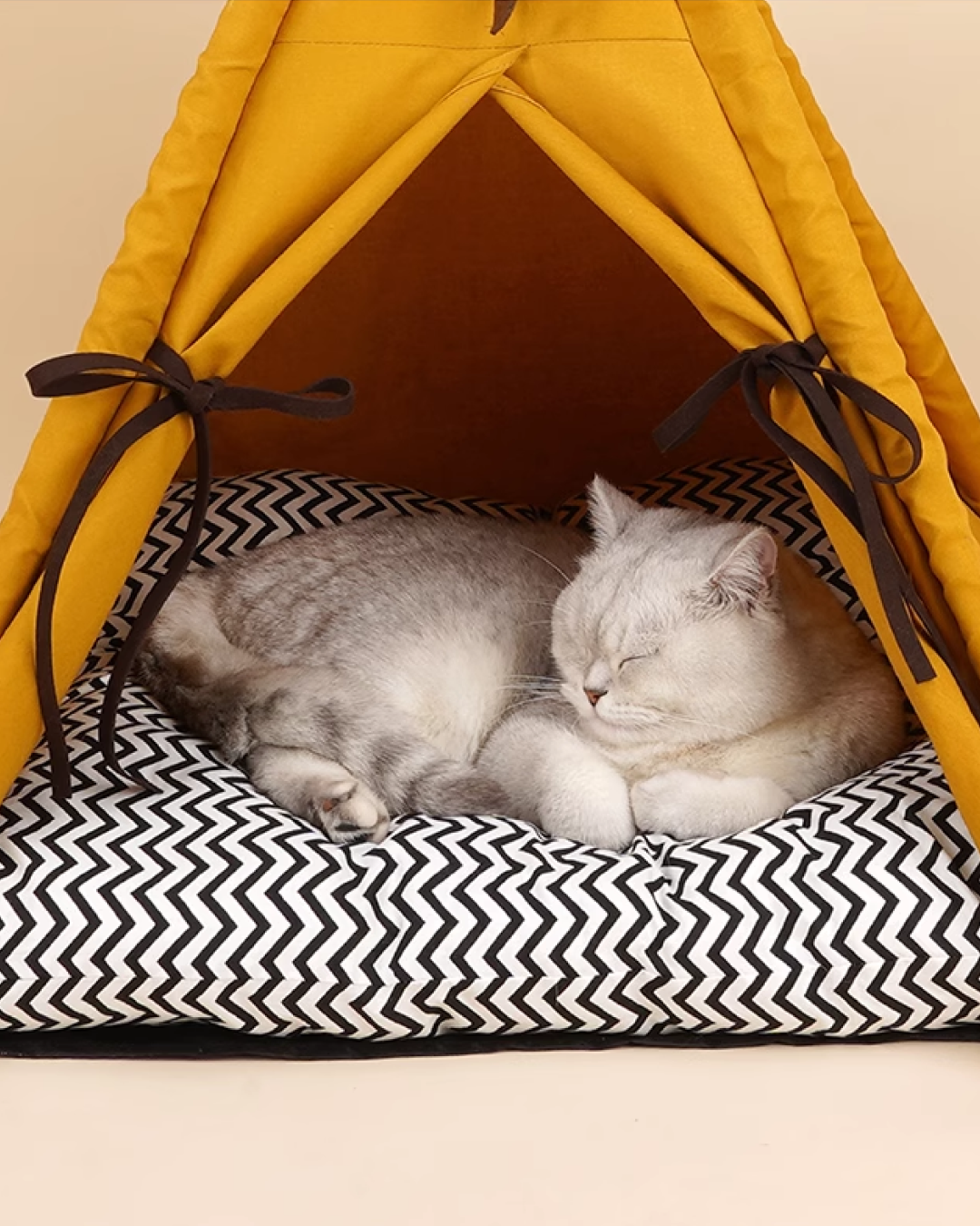 Chasing the Sunset Cat Tent - Pawscode