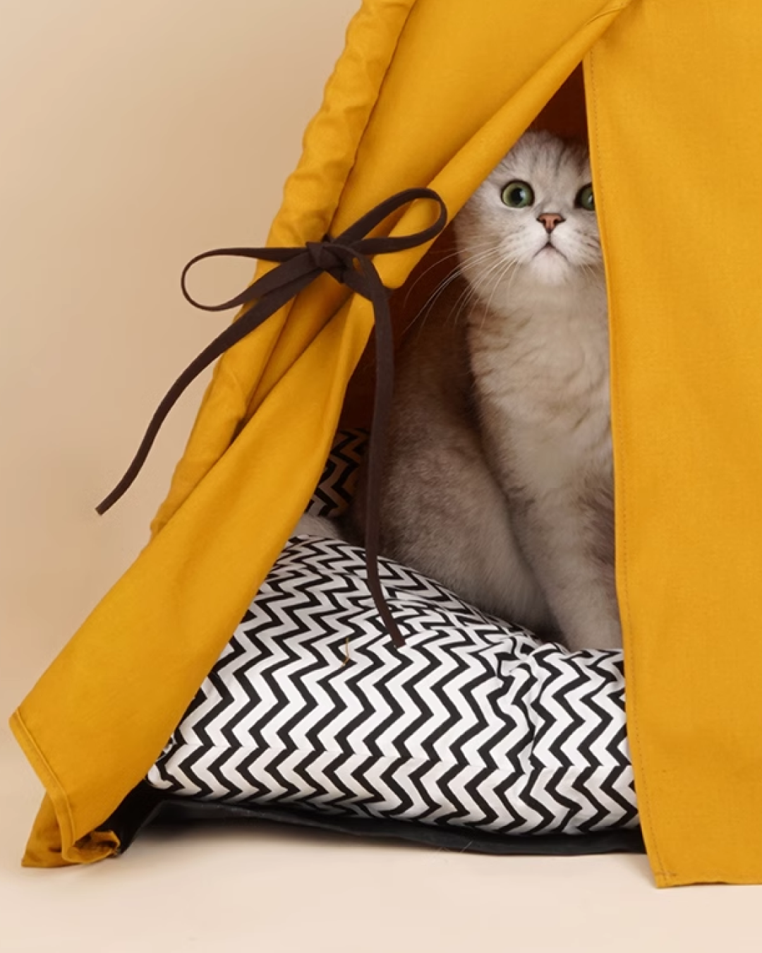 Chasing the Sunset Cat Tent - Pawscode