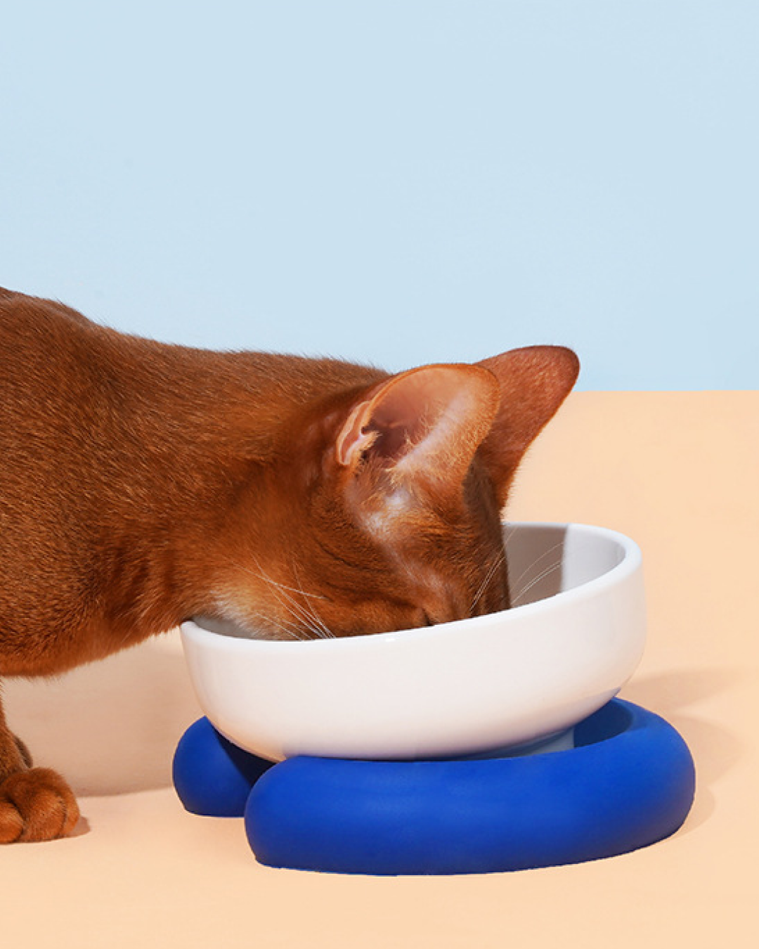 Circle Pet Bowl - Pawscode