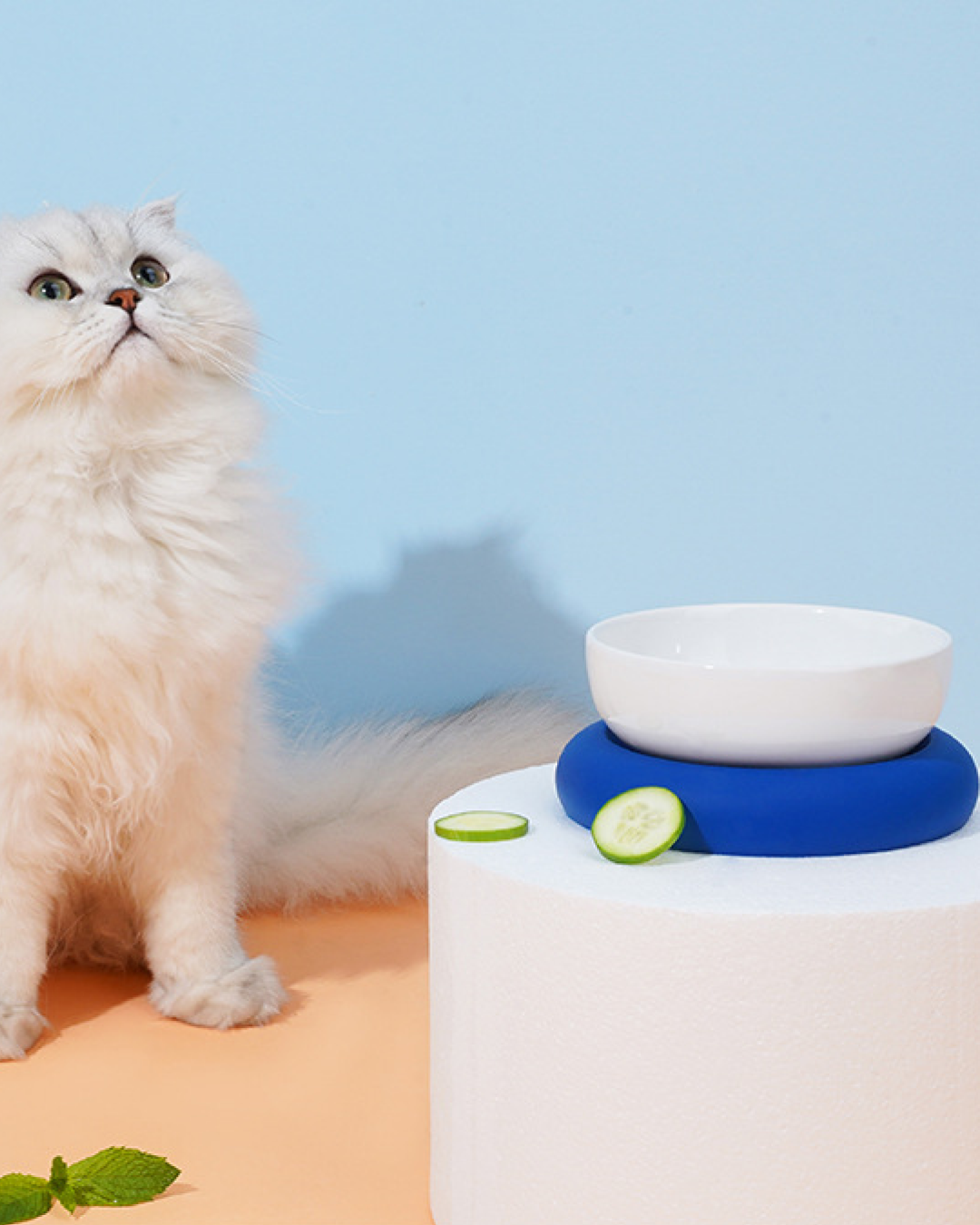 Circle Pet Bowl - Pawscode