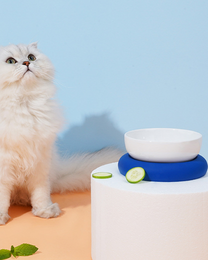 Circle Pet Bowl - Pawscode