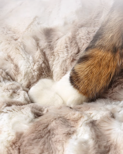Cozy Weekend Cat Sofa - Pawscode