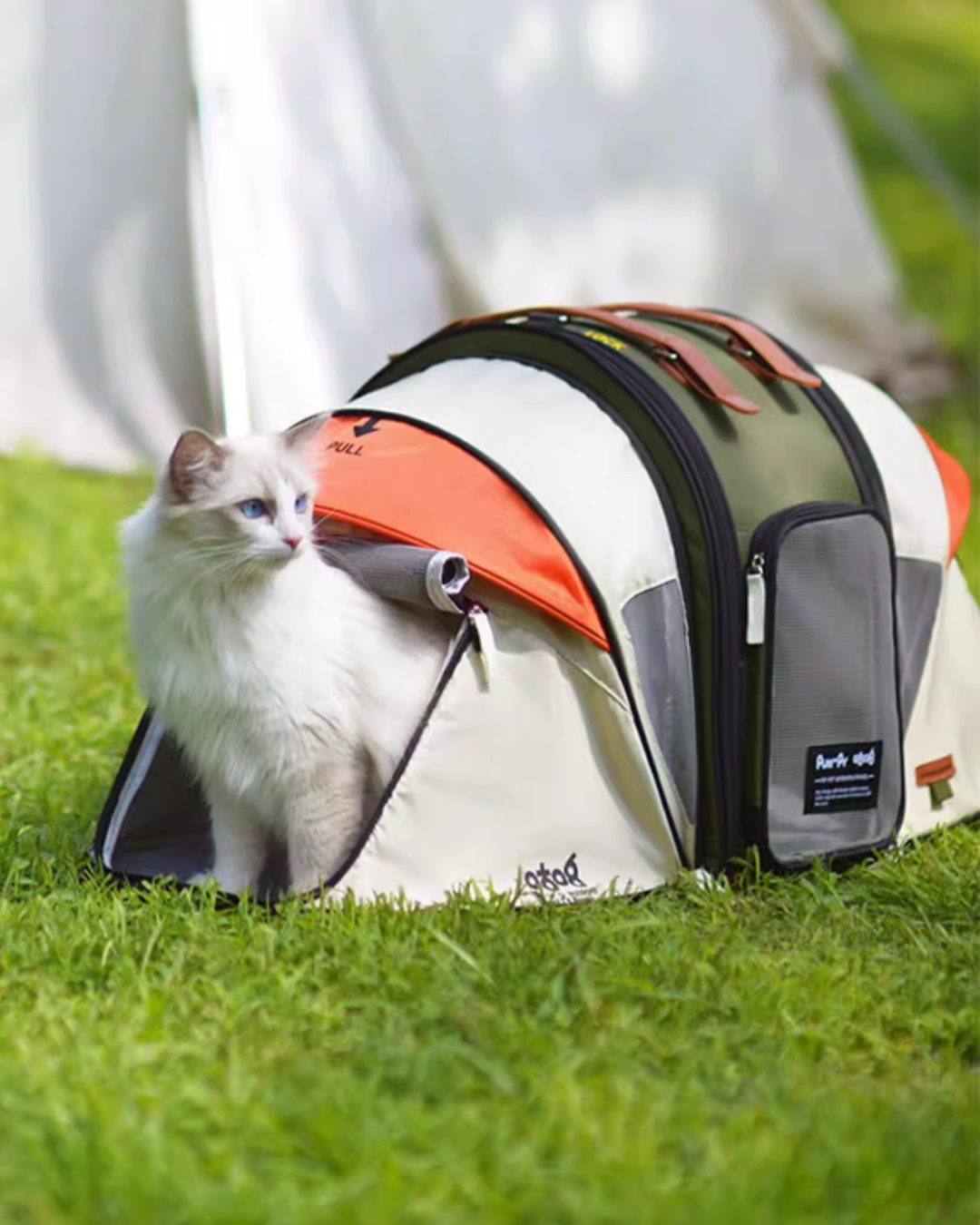 Pet Tent: Expandable Cat Carrier - Pawscode