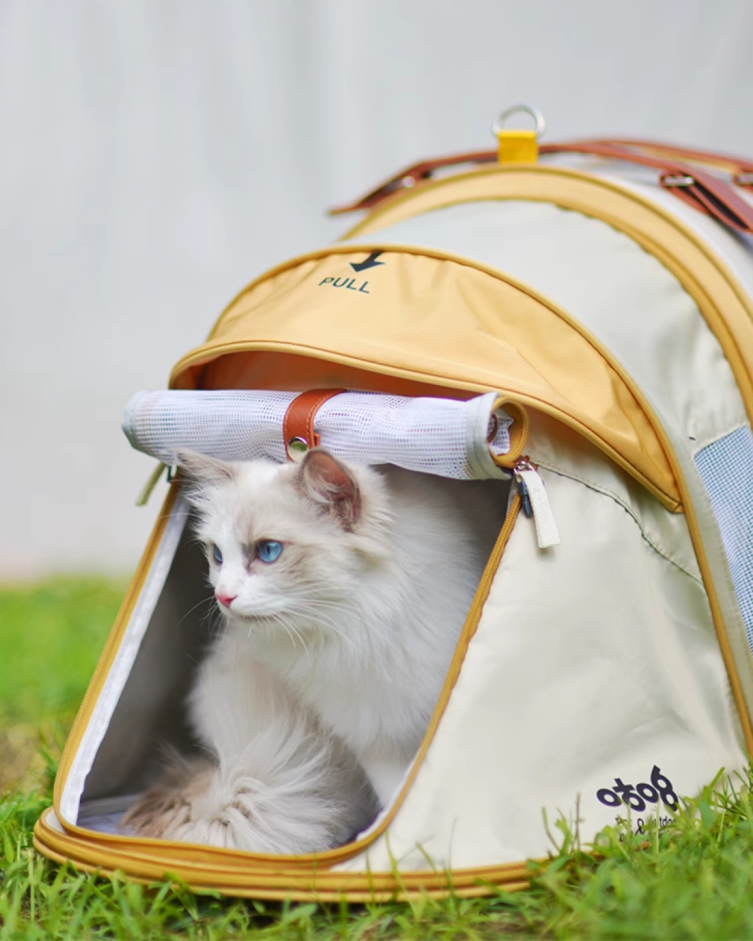 Pet Tent: Expandable Cat Carrier - Pawscode