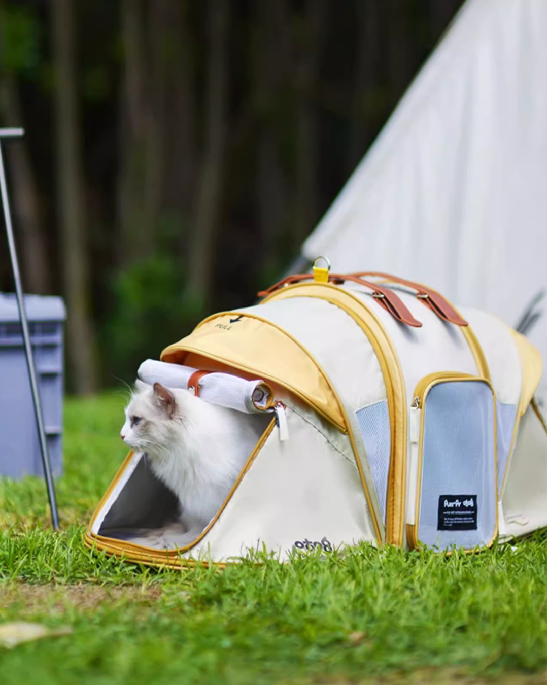 Pet Tent: Expandable Cat Carrier - Pawscode