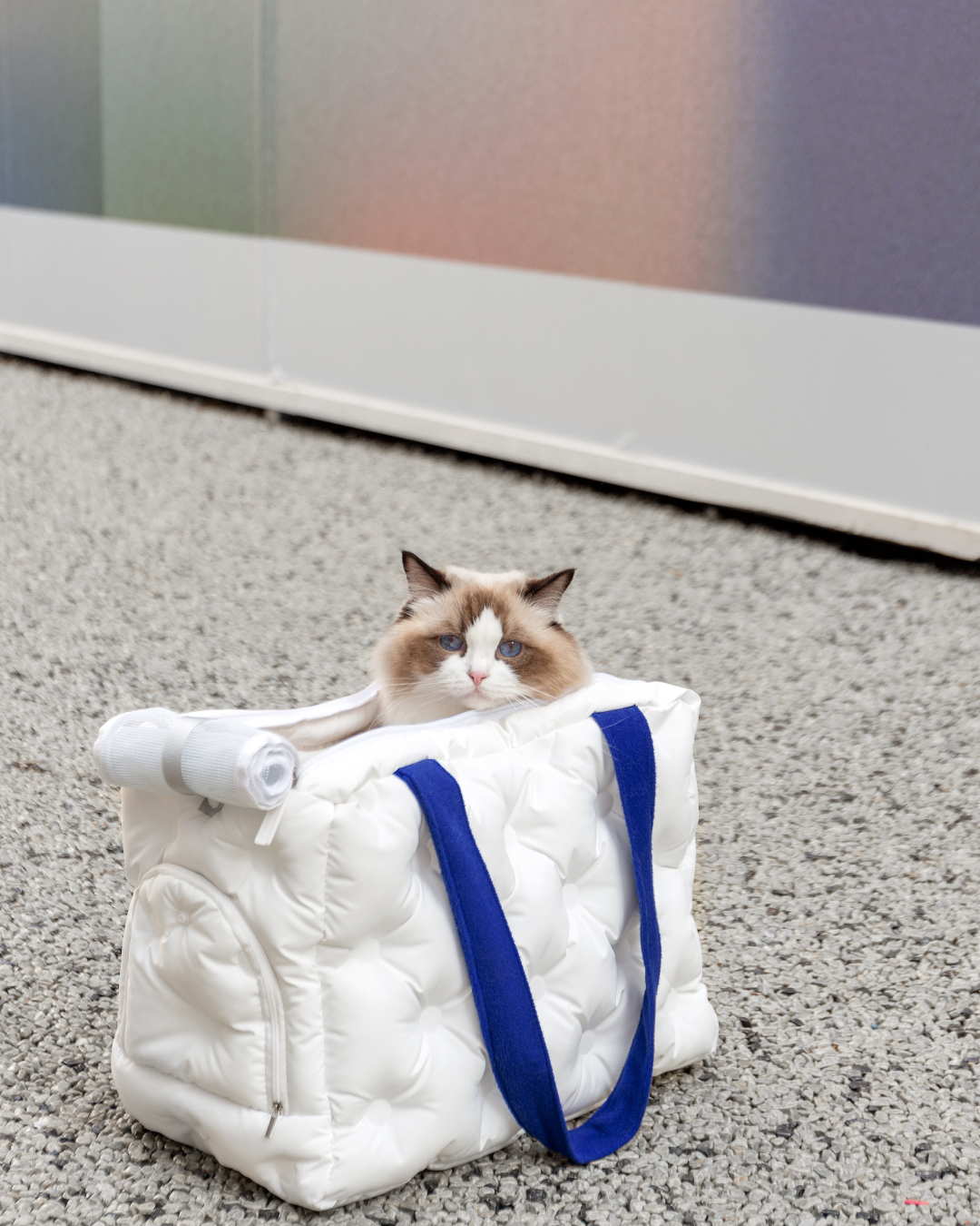 Klein Single-Shoulder Pet Carrier Bag - Pawscode