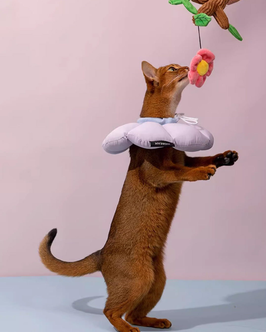 Floral Elizabeth Collar for Cats - Pawscode